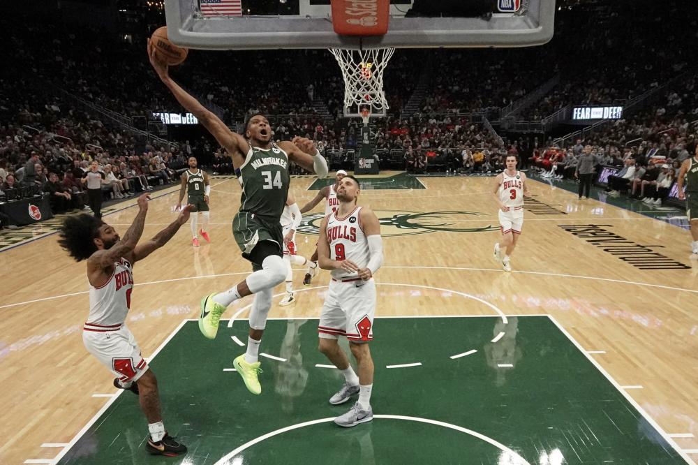 仅能提供运 仅能提供运