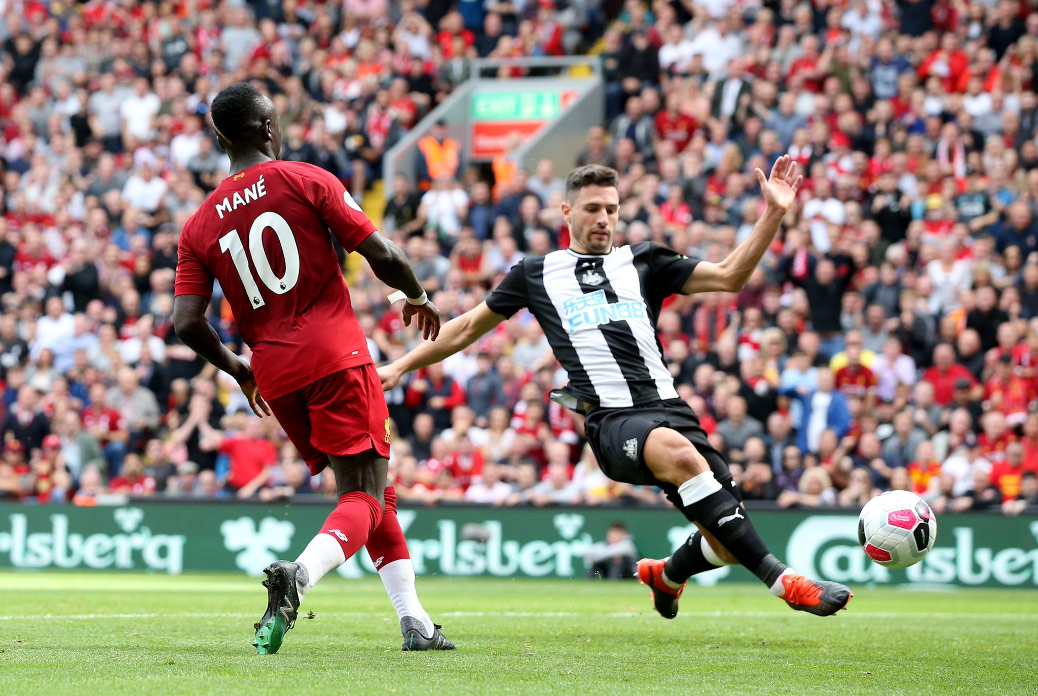 这支年轻的 这支年轻的